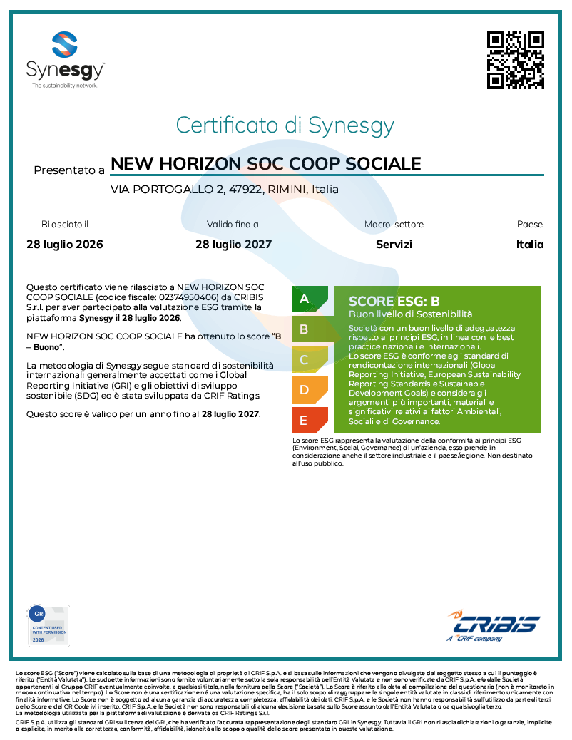 certificato di Synesgy certificato di Synesgy
